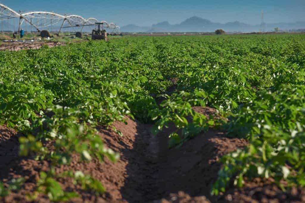 Cabe señalar que el lunes 22 de febrero, a partir de las 5:30 de la tarde, se llevará a cabo la cena con causa en apoyo al programa PANNASIR.