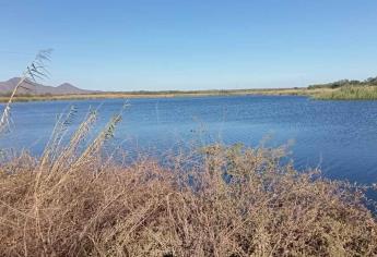 Fallece pescador ahogado después de volcar en una panga en Jahuara II, Ahome