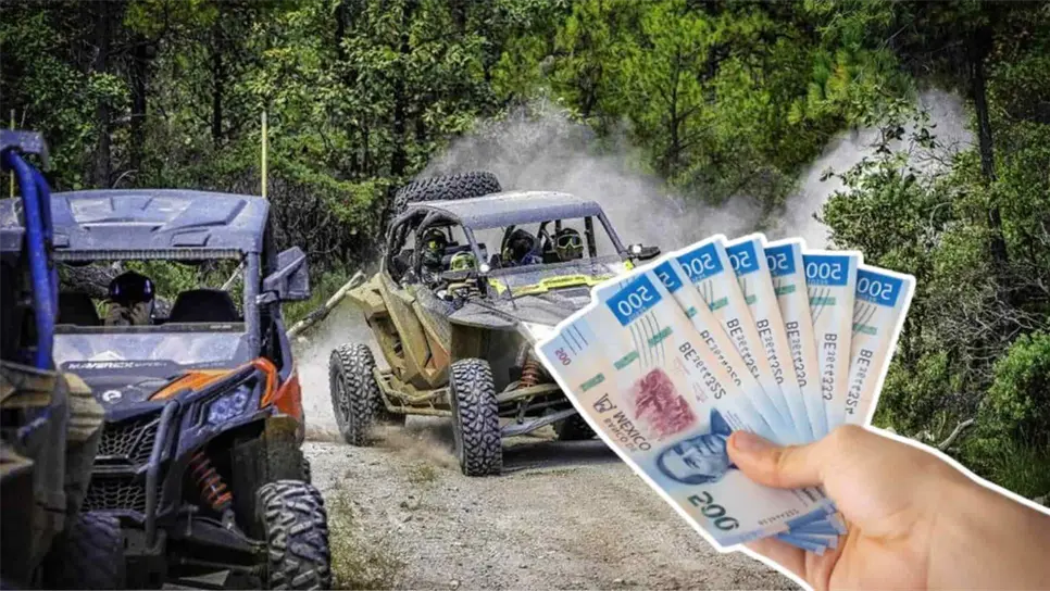 FOTO: El precio de los razers.