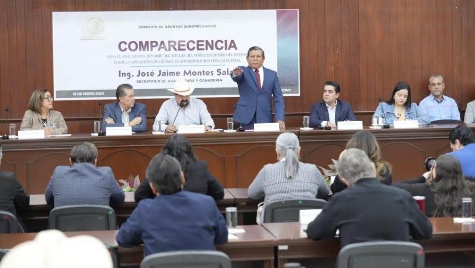 Sinaloa logró adquirir un precio justo para el maíz: Comparece Secretario de Agricultura ante el Congreso