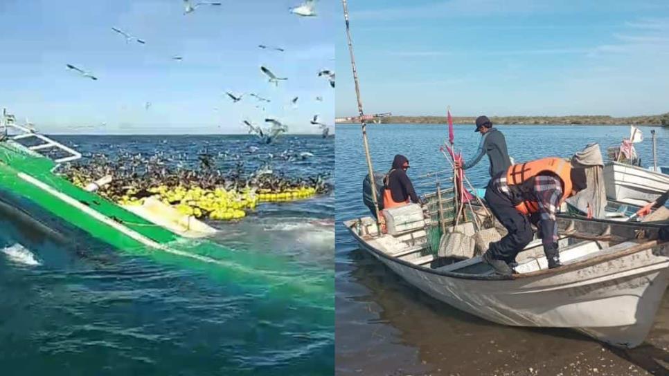 Vuelca embarcación atunera cerca del campo pesquero Las Lajitas, Ahome