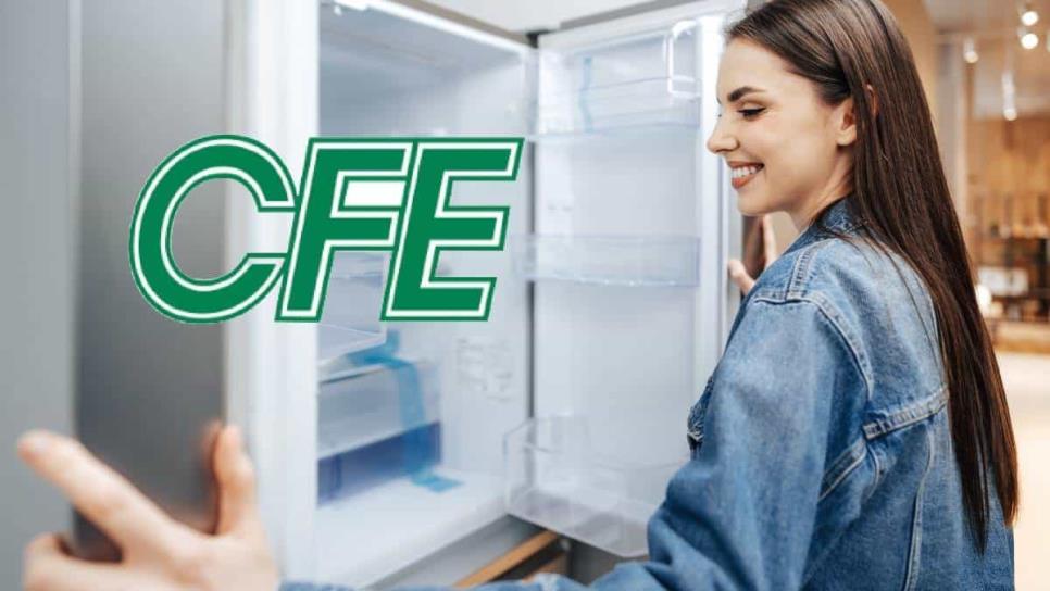 Estos son los requisitos para comprar un refrigerador ahorrador con la CFE