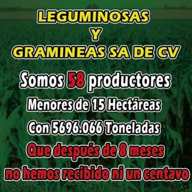 Imagen Placeholder Imagen Placeholder