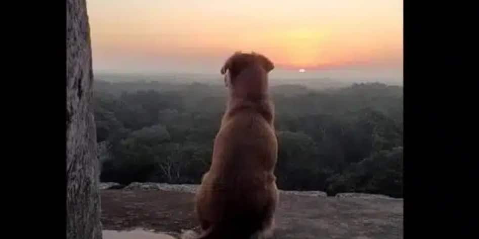 La bella postal se ha vuelto viral en las redes sociales.