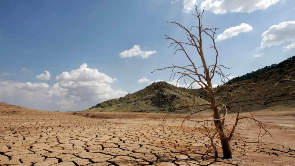 Crisis hídrica en México; Sinaloa registrará escasez de agua en el 2024
