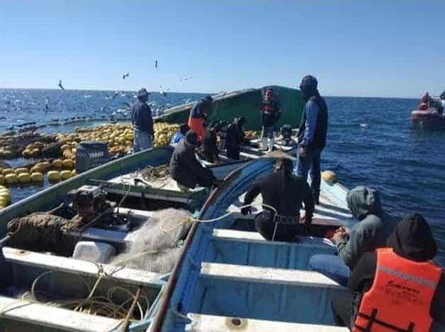 Lamenta alcalde de Ahome muerte de pescador rescatado en Las Lajitas 