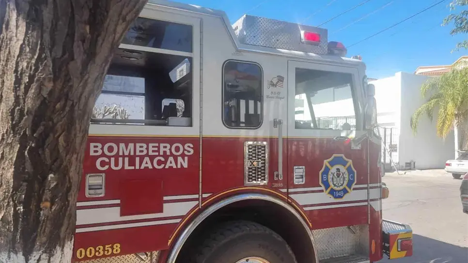 FOTO: Luis Ramírez.