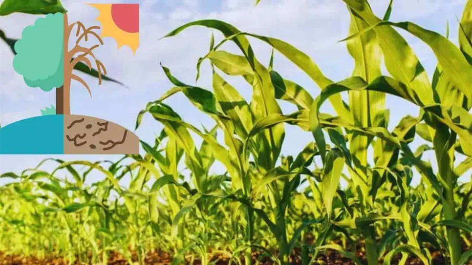 ¿Equipatas o cabañuelas? Conoce cómo identificar estos fenómenos del clima