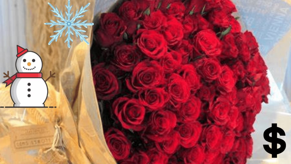 ¿Por qué las rosas se venden más caras en tiempo de frio? ¿Por qué las rosas se venden más caras en tiempo de frio?