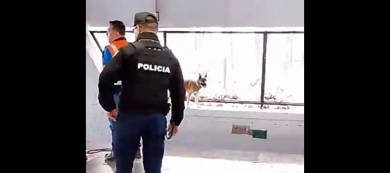 El perrito movilizó a cuerpos de emergencia en la Estación Potrero.