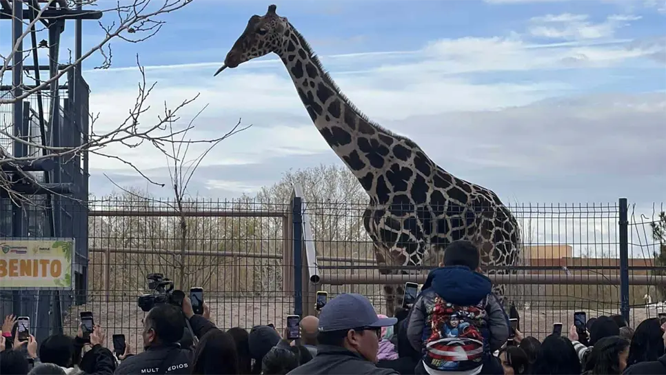 FOTO: @SalvemosABenito.