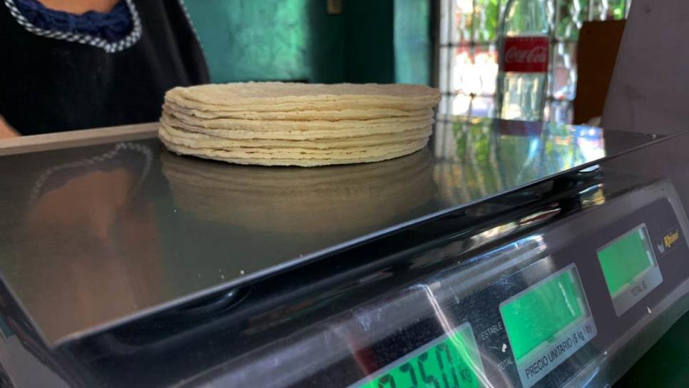 Hasta en 28 pesos se vende el kilo de tortillas en Sinaloa; ¿A qué se debe este incremento?