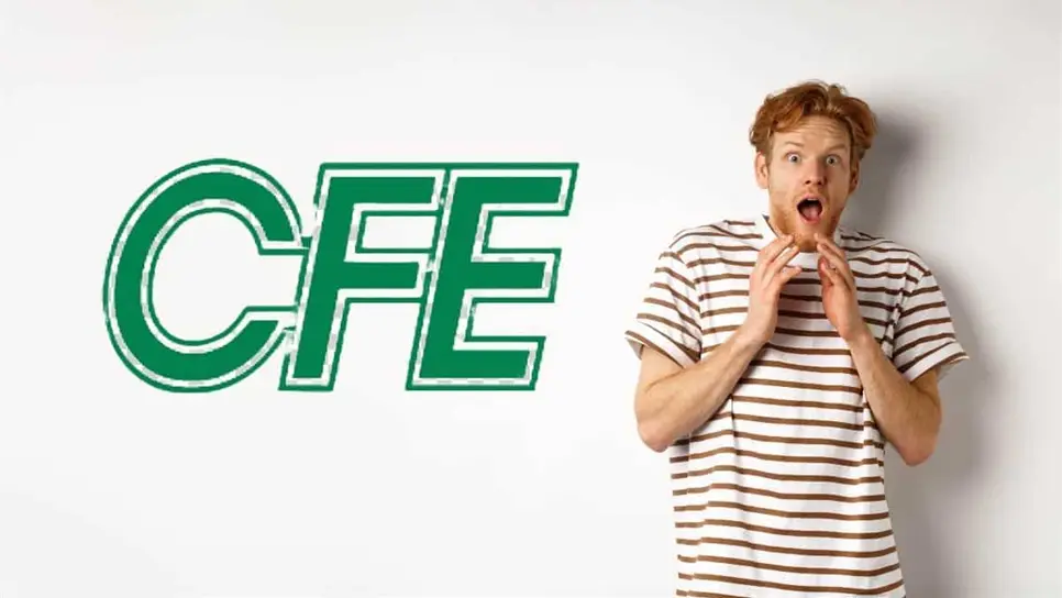 FOTO: Cortesía/FreePik/CFE.