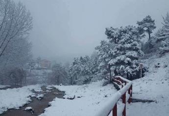 ¡Conoce Guachochi nevado! Así se ve este Pueblo Mágico de la sierra de Chihuahua | VIDEO