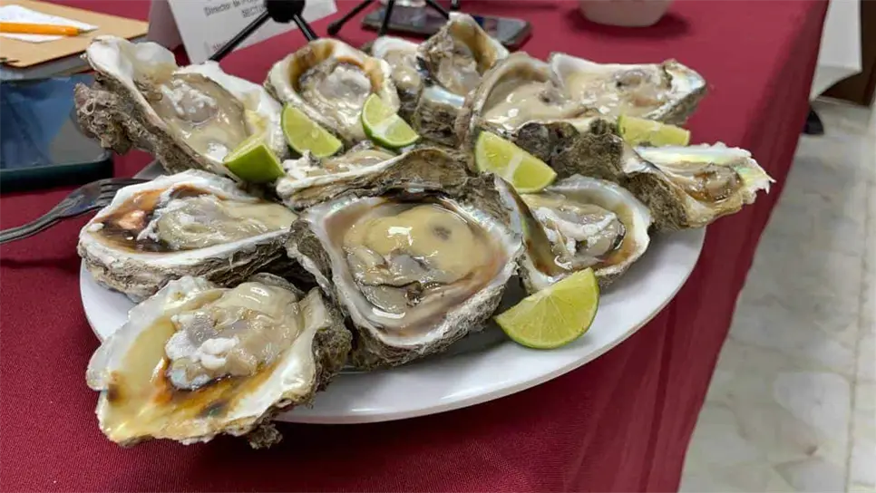 FOTO: La Feria del Ostión 2024.