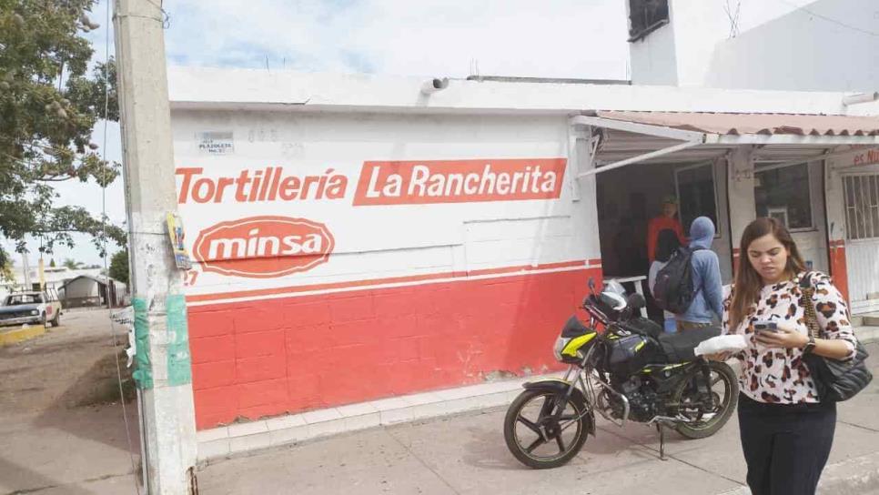 «Tortillas no deben valer más de 26 pesos en Sinaloa»: Industriales 