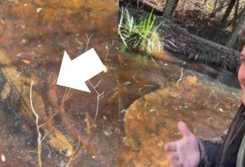 Captan caimán congelado en un lago, ¿estaba vivo? | VIDEO