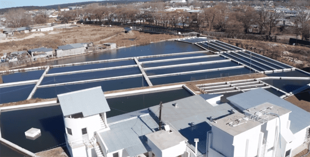 Imagen Placeholder Imagen Placeholder