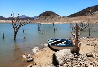 Presas de Sinaloa, en estado crítico por sequía