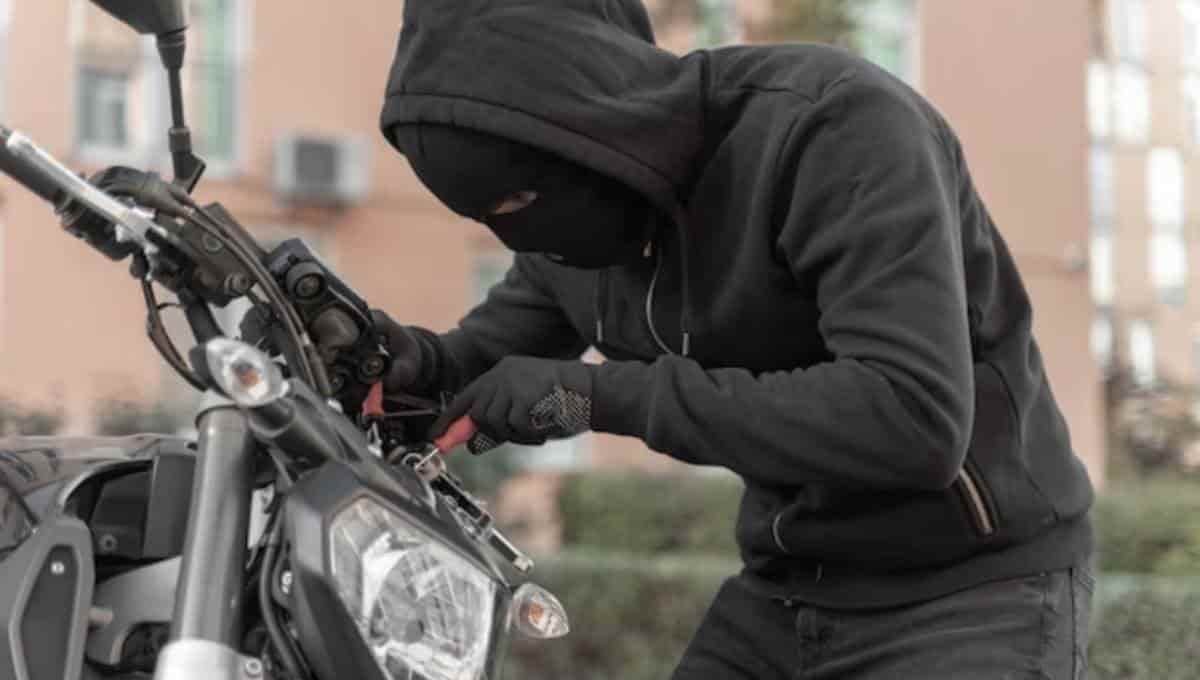 FOTO: Cortesía/FreePik.