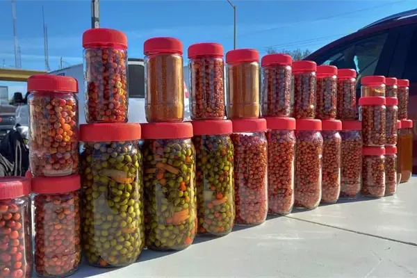 Chiltepín, el oro rojo de Sonora, aumenta su precio por esta razón Chiltepín, el oro rojo de Sonora, aumenta su precio por esta razón