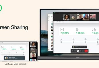 Nueva función de WhatsApp; así puedes compartir pantalla en las videollamadas