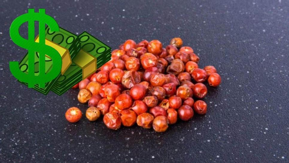 Venden el chiltepín hasta en $2 mil el kilo en Sonora; el oro rojo mexicano