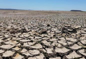 Esta es la zona más seca de México, según los monitores de la sequía