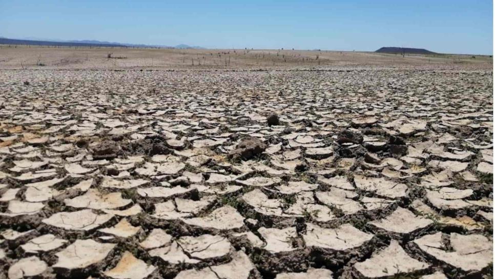 Esta es la zona más seca de México, según los monitores de la sequía