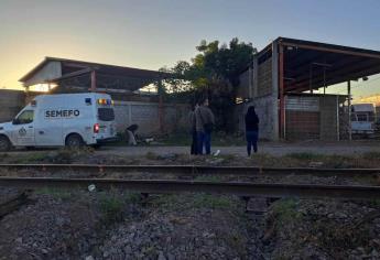 A golpes matan a un hombre en la colonia Las Flores en Culiacán