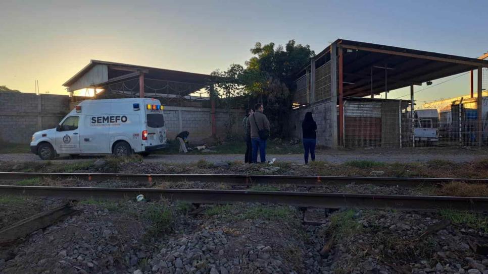 A golpes matan a un hombre en la colonia Las Flores en Culiacán A golpes matan a un hombre en la colonia Las Flores en Culiacán
