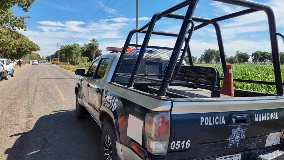 FOTO: temática.