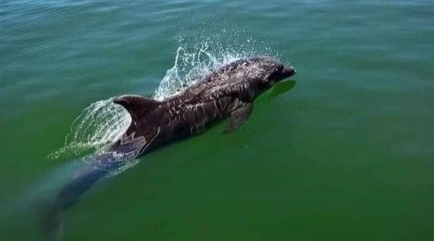 Imagen Placeholder Imagen Placeholder