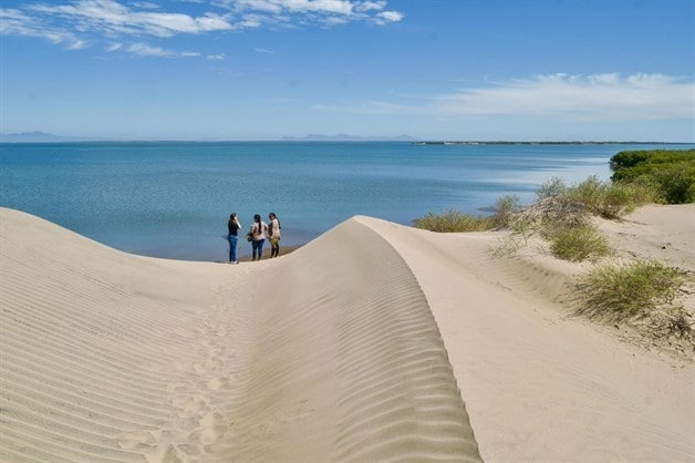 Imagen Placeholder Imagen Placeholder