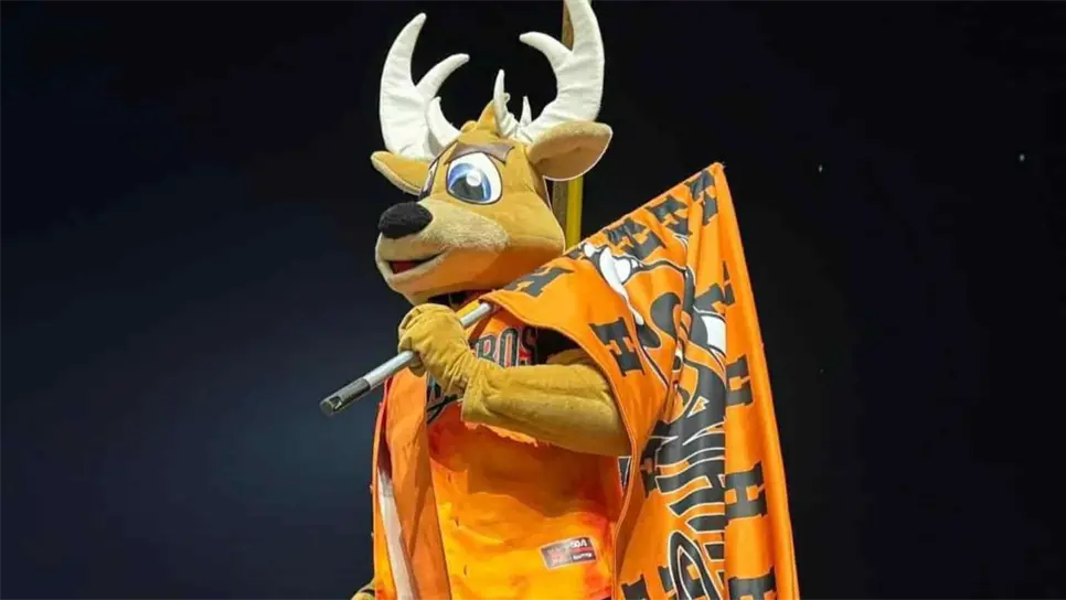 Aunque estos comentarios reflejan la diversidad de opiniones entre los mazatlecos, la decisión final recae en los Bolcheviques y el Instituto de Cultura.