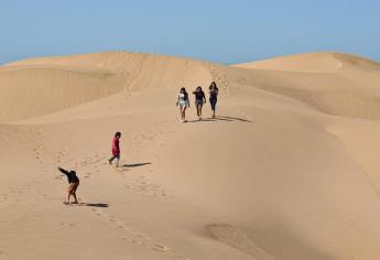 Descubre cómo llegar al «Sáhara sinaloense», está a 78 km de Culiacán