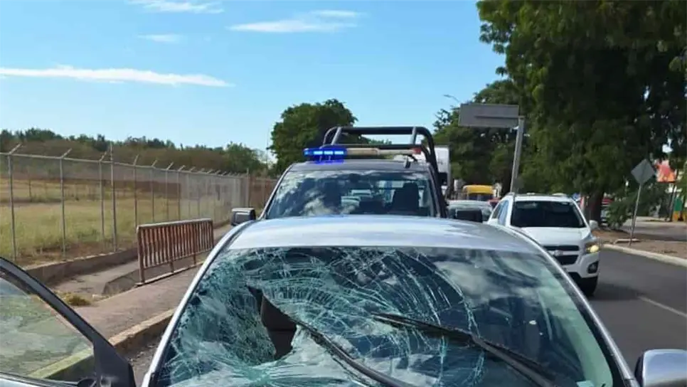 FOTO: Luis Ramírez.