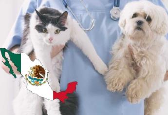Por ley, ya habrá veterinarias gratuitas para esterilizar mascotas en todo México