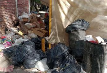 En Mazatlán multan hasta con 10 mil pesos a quienes tiren basura en lotes baldíos