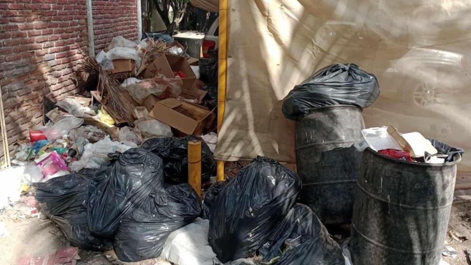 En Mazatlán multan hasta con 10 mil pesos a quienes tiren basura en lotes baldíos