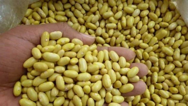 Imagen Placeholder Imagen Placeholder