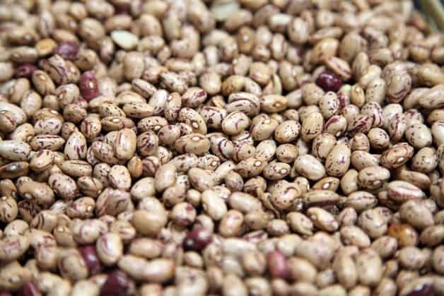 Imagen Placeholder Imagen Placeholder