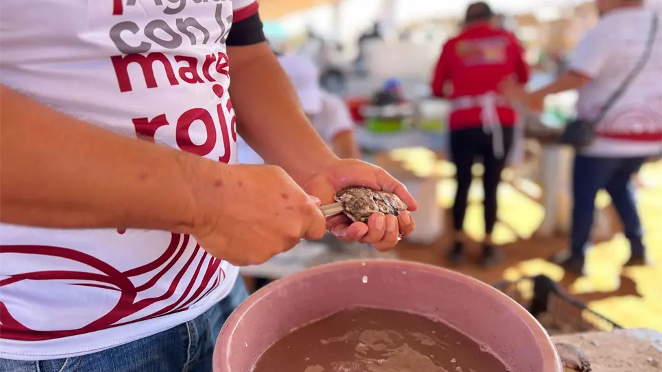 FOTO: Alfredo Juárez.