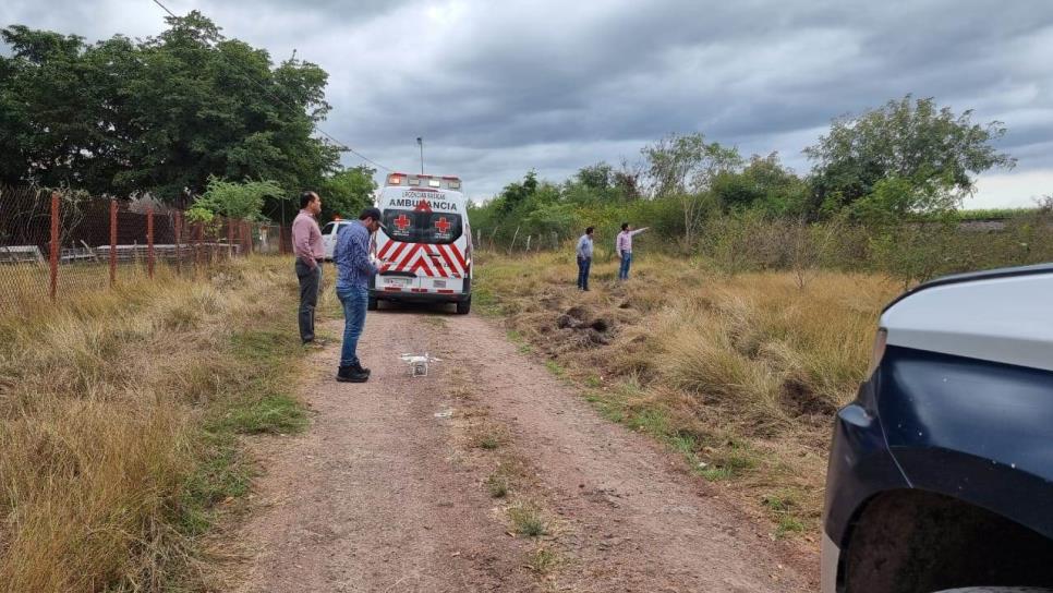 Se desploma avioneta fumigadora en Costa Rica, Culiacán; muere el piloto