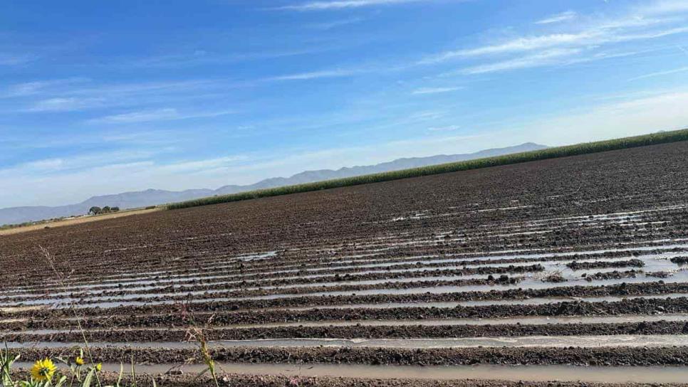 Multas y sanciones así el plan de Seguridad hídrica por sequía en Sinaloa
