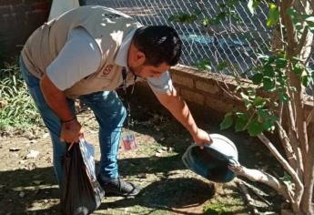 Se registran los primeros casos de dengue en Guasave en el 2024