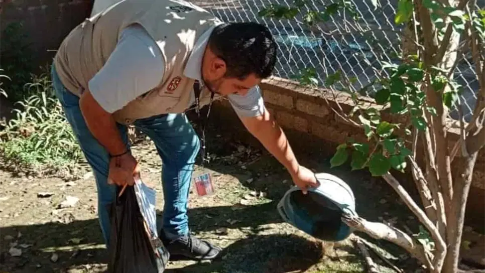 Se registran los primeros casos de dengue en Guasave en el 2024