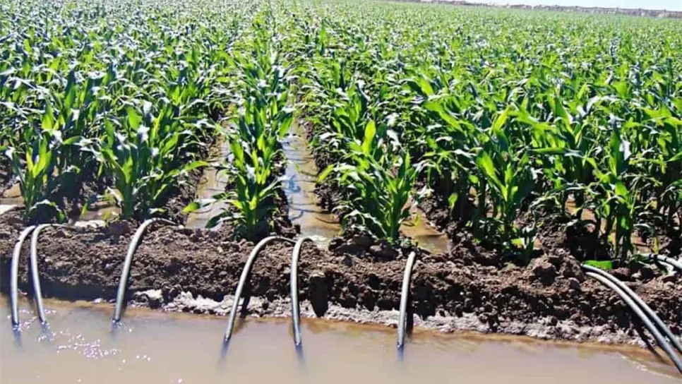 FOTO: Esthela García.