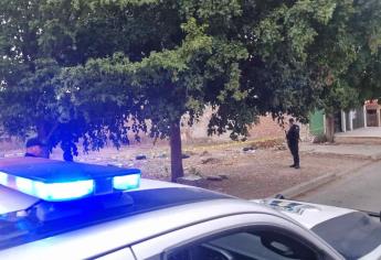 A golpes matan a un hombre en la colonia Miguel Hidalgo en Culiacán