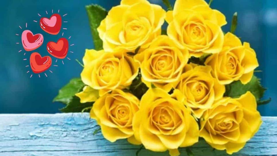 ¿Por qué no debes regalar rosas amarillas el 14 de febrero, día de San Valentín?